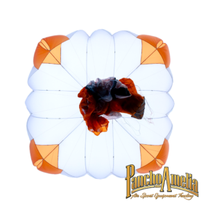 skywalk Rescue Pepper cross light2